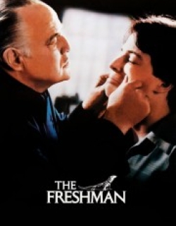 The Freshman