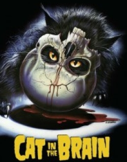 A Cat in the Brain