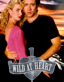 Wild at Heart