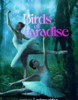 Birds of Paradise