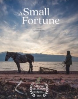 A Small Fortune