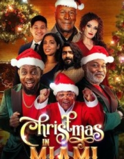 Christmas in Miami