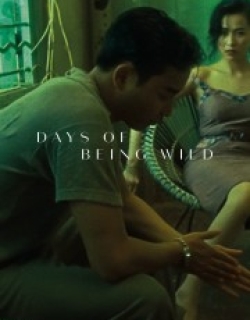 Days of Being Wild