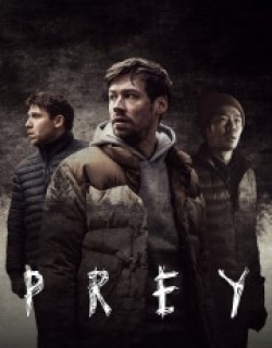Prey