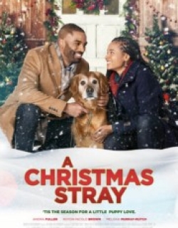 A Christmas Stray