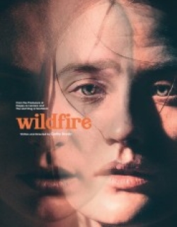 Wildfire