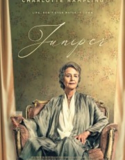 Juniper