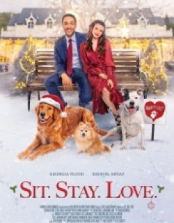 The Dog Days of Christmas