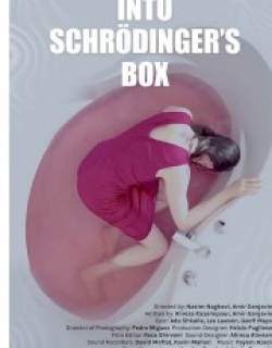 Into Schrodinger's Box