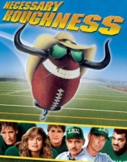Necessary Roughness