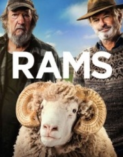 Rams