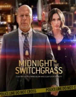 Midnight in the Switchgrass