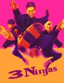 3 Ninjas