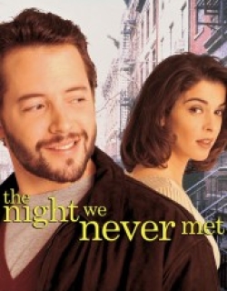 The Night We Never Met