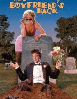 My Boyfriend's Back