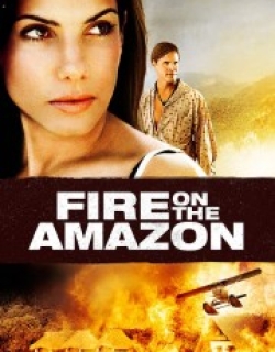 Fire on the Amazon