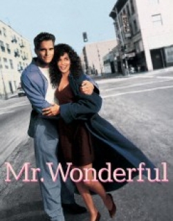 Mr. Wonderful