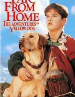 Far from Home: The Adventures of Yellow Dog