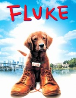 Fluke
