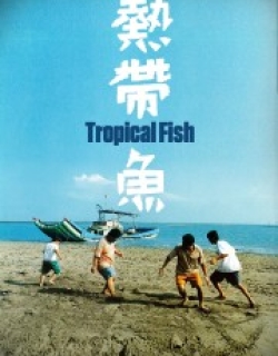 Tropical Fish