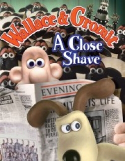 A Close Shave
