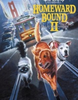 Homeward Bound II: Lost in San Francisco