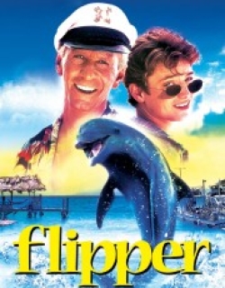 Flipper