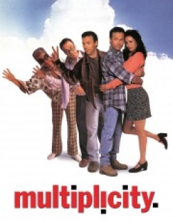 Multiplicity