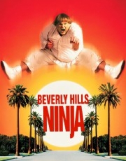 Beverly Hills Ninja