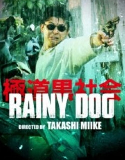 Rainy Dog