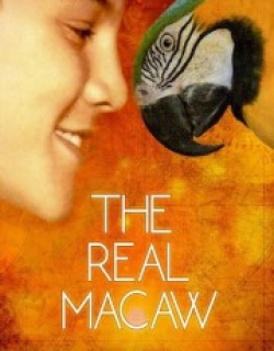The Real Macaw