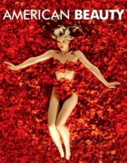 American Beauty