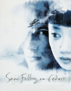 Snow Falling on Cedars