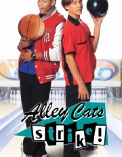 Alley Cats Strike