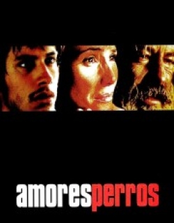 Amores Perros