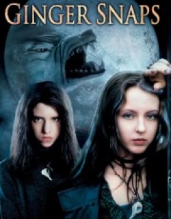 Ginger Snaps