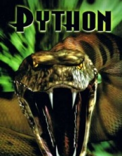 Python