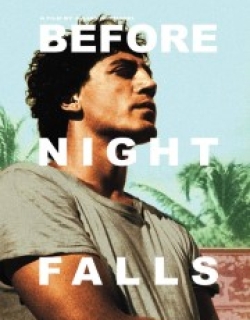 Before Night Falls
