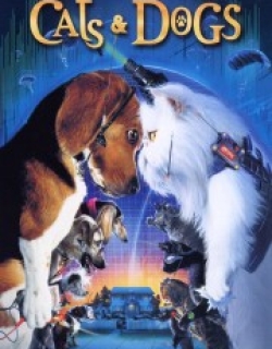 Cats & Dogs