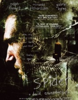Spider