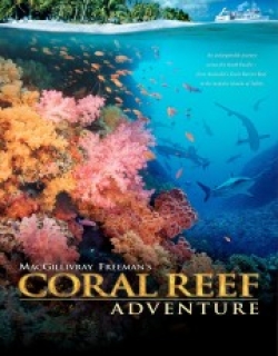 Coral Reef Adventure