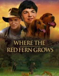Where the Red Fern Grows