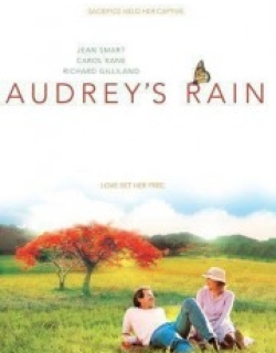 Audrey's Rain