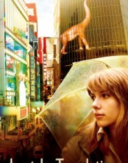 Lost in Translation