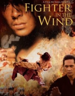 Fighter In The Wind