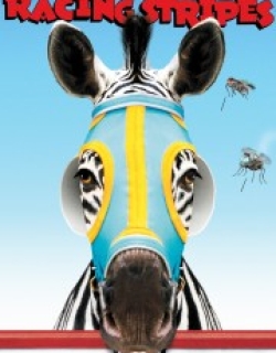 Racing Stripes