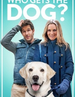Who Gets the Dog?