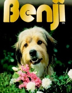 Benji