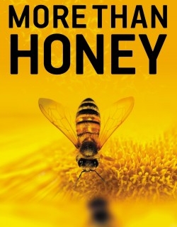 More Than Honey