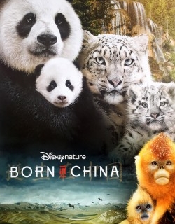 Born in China